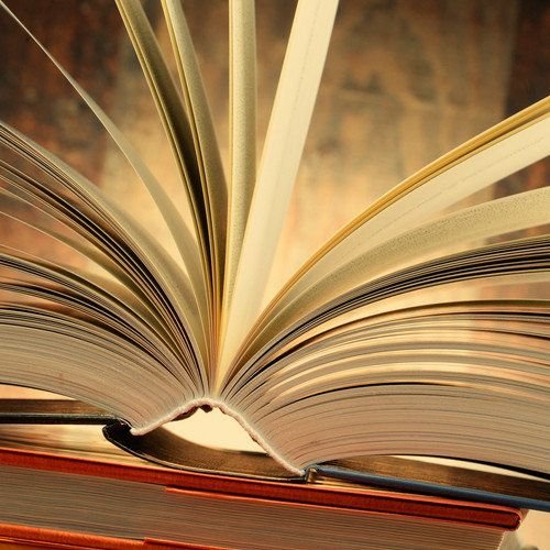 Operational Risk Management